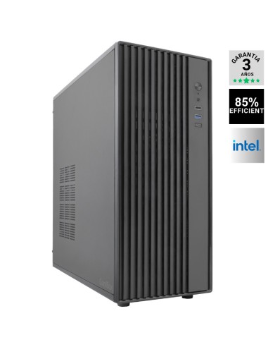 SERVIDOR GDX  ATX XEON E-2436  16GB 2X480GB SSD...
